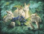 (image for) Blueberry Lunch